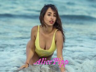 AlicePipp