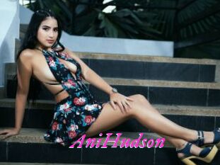 AniHudson