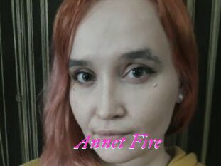 Annet_Fire