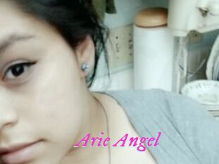 Arie_Angel
