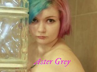 Aster_Grey