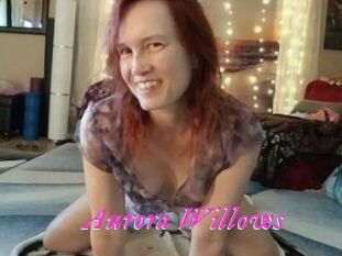 Aurora_Willows