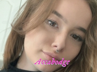 Accabodge