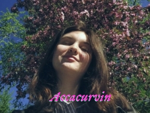 Accacurvin