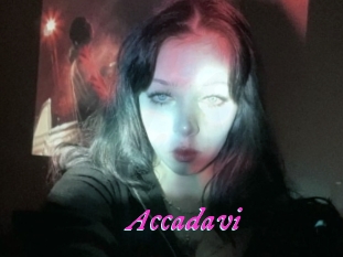 Accadavi