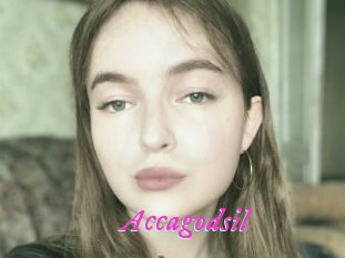 Accagodsil