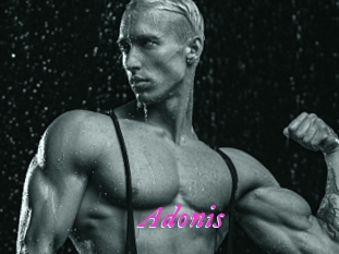 Adonis_