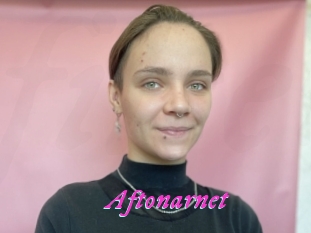 Aftonarnet