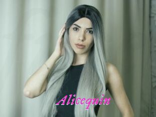 Alicequin