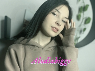 Alodiabigge