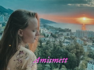 Amismett