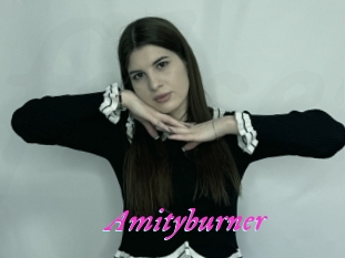 Amityburner