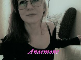 Anaemone