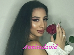 Annitadavid