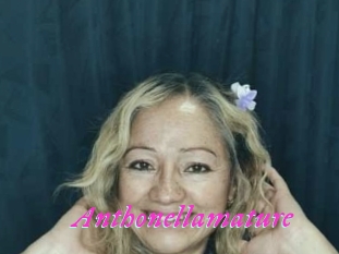 Anthonellamature
