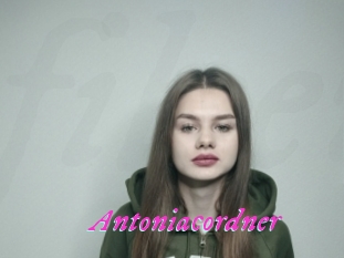 antoniacordner Fille Sensuelle