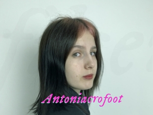 Antoniacrofoot