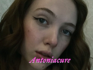 Antoniacure