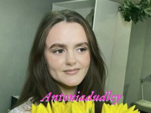Antoniadudley