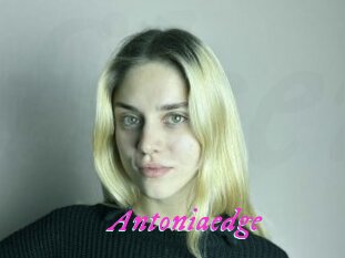 Antoniaedge