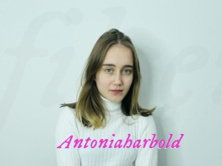 Antoniaharbold