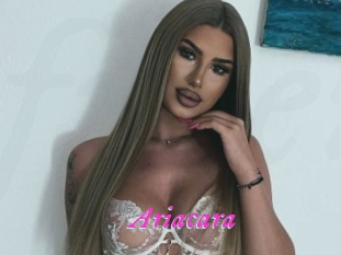 Ariacara