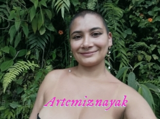 Artemiznayak