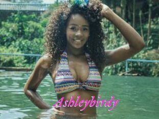 Ashleybirdy