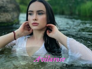 Avilarose