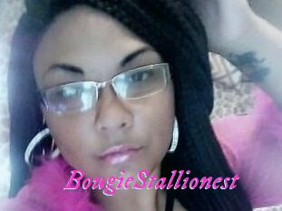 BougieStallionest