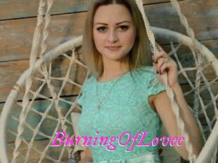 BurningOfLovee