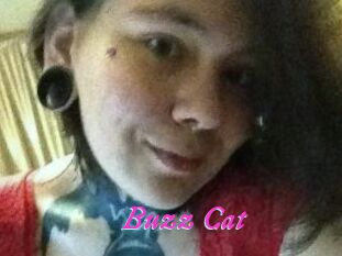 Buzz_Cat