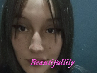 Beautifullily