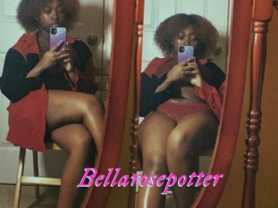 Bellarosepotter