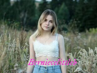 Berniecelittleb
