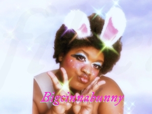 Bigcinnabunny