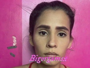 Bigorgamsx