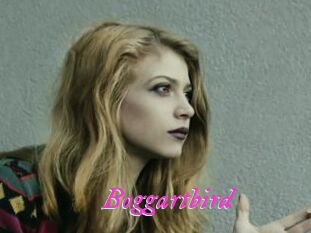 Boggartbird