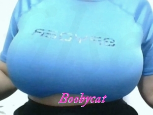 Boobycat