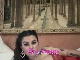 Boss_bunny