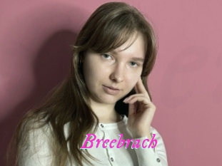 Breebrach