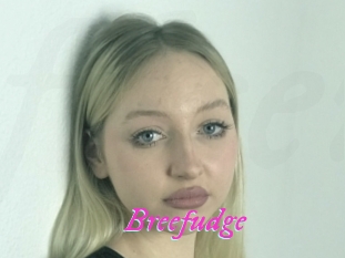 Breefudge