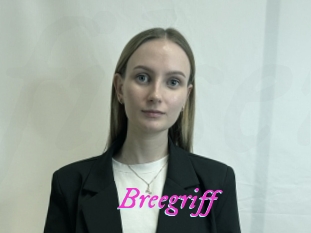 Breegriff