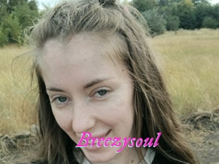 Breezysoul