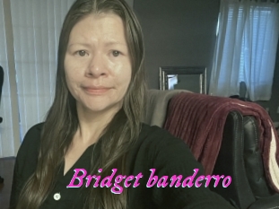 Bridget_banderro
