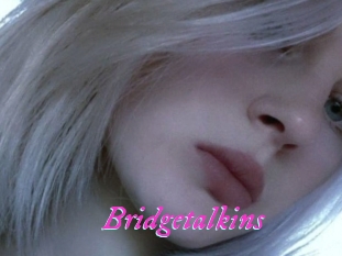 Bridgetalkins