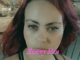 Bunny_bleu