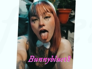 Bunnyblue18