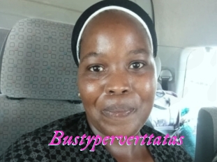 Bustyperverttatas