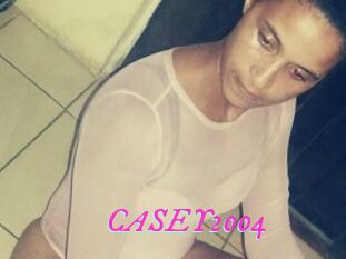 CASEY2004